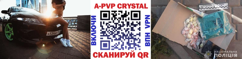 APVP СК  Орлов 