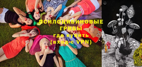 дживик Балахна