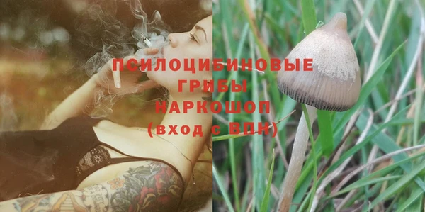 дживик Балахна