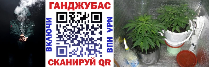 Бошки Шишки индика  хочу наркоту  Орлов 